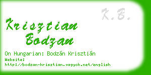 krisztian bodzan business card